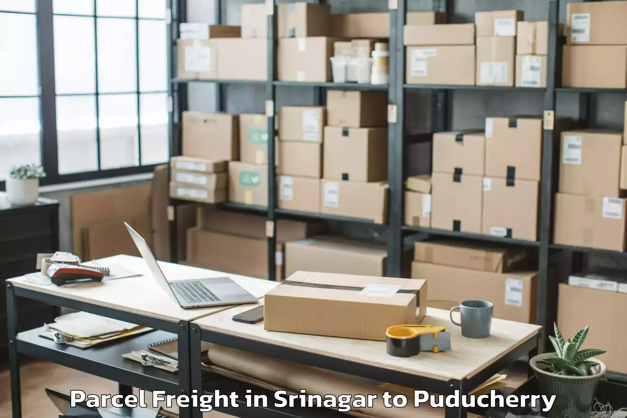 Book Srinagar to Pondicherry University Parcel Freight Online